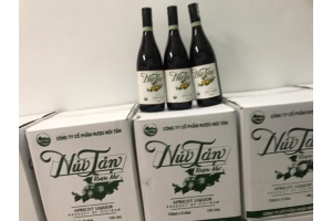 Rượu mơ núi tản nguyên thùng 9 chai